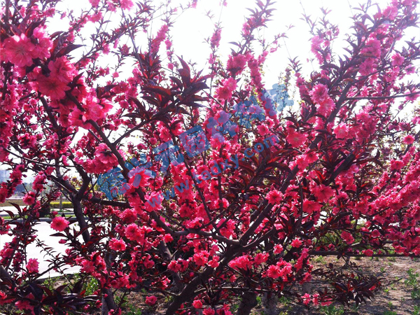 �c���鿴Ԕ����Ϣ���}������ ��x�Δ�(sh��)��2342