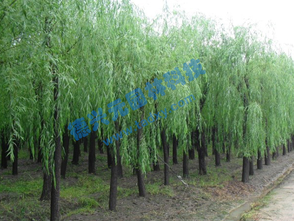 �c���鿴Ԕ����Ϣ���}������ ��x�Δ���2404