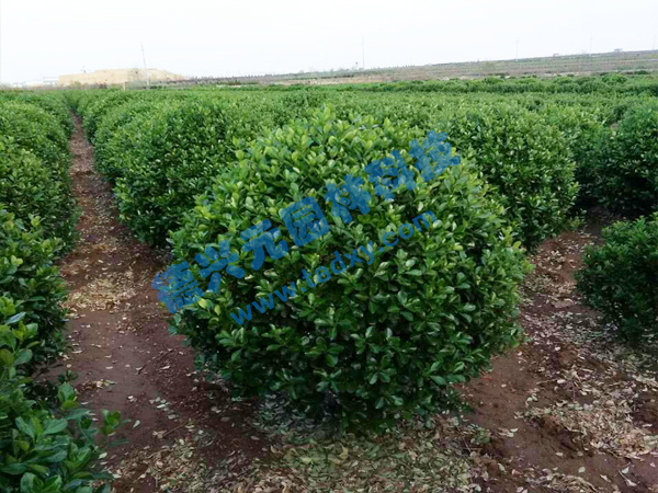 �c���鿴Ԕ����Ϣ���}�����~�S���� ��x�Δ���2566