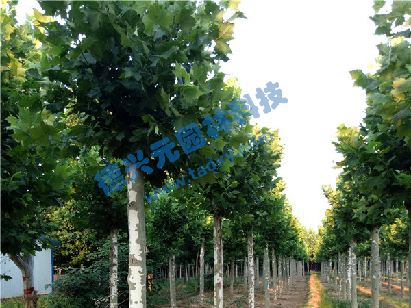 �c���鿴Ԕ����Ϣ���}����ͩ ��x�Δ���2407