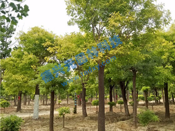 �c���鿴Ԕ����Ϣ���}�����~�� ��x�Δ���2336