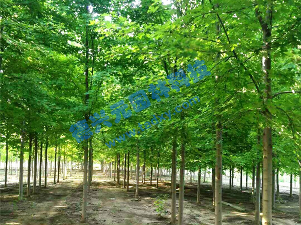 �c���鿴Ԕ����Ϣ���}�������t�� ��x�Δ���2055