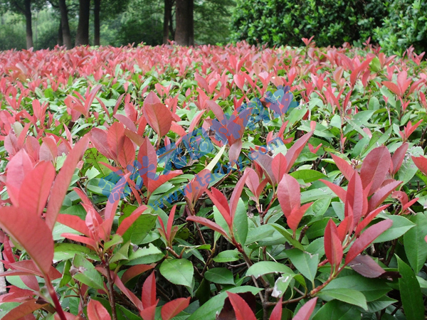 �c���鿴Ԕ����Ϣ���}���t�~ʯ� ��x�Δ���2463