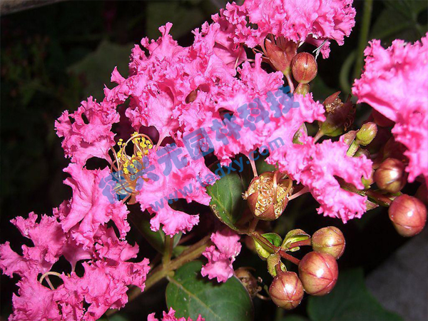 �c���鿴Ԕ����Ϣ���}����ޱ ��x�Δ�(sh��)��1848